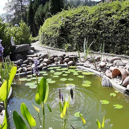 فندق لاندهاوس شفابين Schonmunzach المظهر الخارجي الصورة