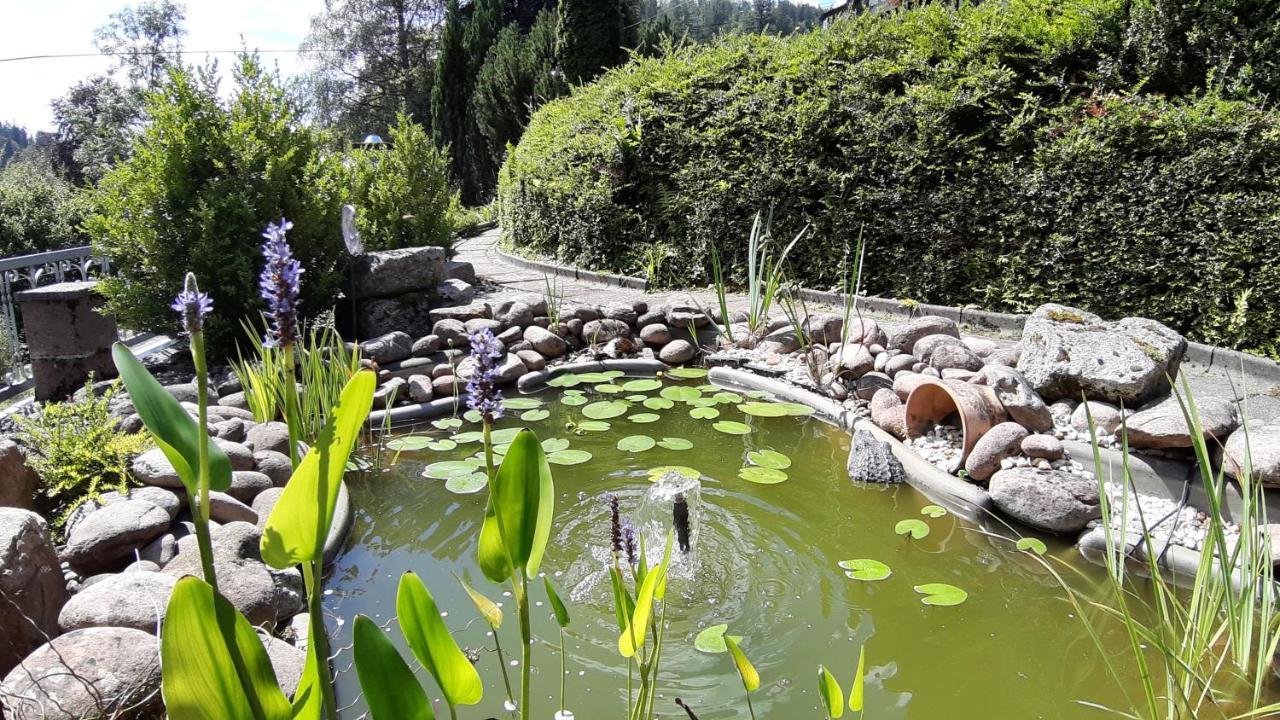 فندق لاندهاوس شفابين Schonmunzach المظهر الخارجي الصورة